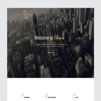  Silvana - Agency Unbounce Landing Page 