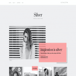 Silver Tumblr Theme