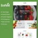 Ecofood - Responsive Organic Store Magento 2 Theme