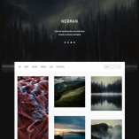 Norman - Responsive Grid Theme