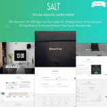 Salt - Multipurpose Business Website Template