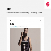 NORD - WordPress Theme with Focus on Content