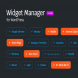 Widget manager for WordPress