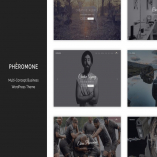 Pheromone - Creative Multi-Concept WordPress Theme