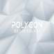 White Polygon Background Set