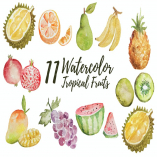 11 Watercolor Tropical Fruits Illustration