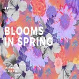 Blooms in Spring