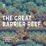 The Great Barrier Reef