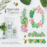 Ofi 4 Watercolor Tropical Graphics