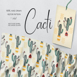 Cacti