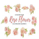 10 Watercolor Rose Flower Illustration Graphics