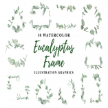 10 Watercolor Eucalyptus Frame Illustration