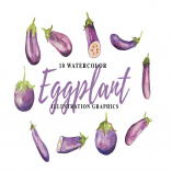 10 Watercolor Eggplant Illustration Graphics