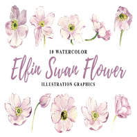 10 Watercolor Elfin Swan Flowers Illustration