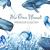 Watercolor Blue Ocean Mammals
