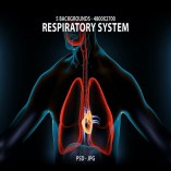 The Respiratory System 