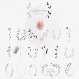 Hand-drawn Botanic elements, Wildflowers Rustic.