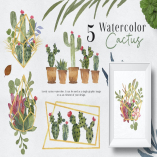 Ofi 5 Watercolor Cactus Graphic