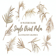 10 Watercolor Single Dried Palm Illustration