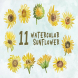 11 Watercolor Sunflower Illustration Graphics