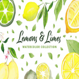 Lemons & Limes Watercolor Collection