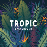 Various Tropical backgrounds with jungle plants