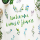 21 Watercolor Leaves & Flowers