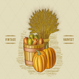 Retro Harvest Still Life