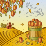 Apple Harvest Landscape