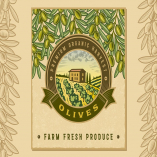 Vintage Colorful Olive Harvest Label