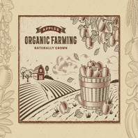Apple Organic Farming Landscape