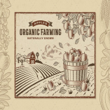 Apple Organic Farming Landscape