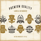 Vintage Premium Quality Labels Set