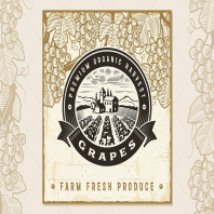 Vintage Grapes Harvest Label