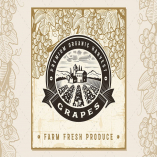Vintage Grapes Harvest Label