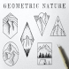 Geometric Nature Illustrations