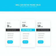 SSD Hosting Small Pricing Tables - PSD