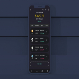 Coin Wallet Mobile Ui - H