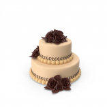 Two Tiered Cake