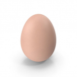 Egg