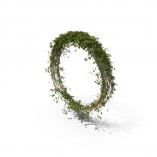 Ring of Ivy