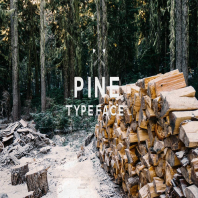 Pine Font