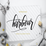 Harbour Logotype Script Font