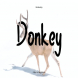 Donkey Font YR