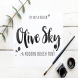 Bold modern brush font - Olive Sky