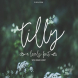 Tilly, a lovely font & bonus clipart