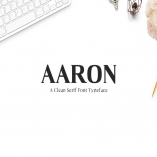 Aaron Serif Font Family