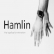 HAMLIN - Minimal Geometric Typeface + Web Fonts