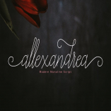 Allexandrea Script