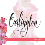 CARLINGTON Script